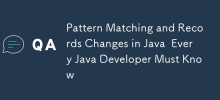 Mustervergleich und Aufzeichnung von Änderungen in Java, die jeder Java-Entwickler kennen muss