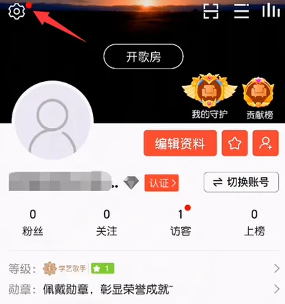 vv音乐怎么开启隐身访问 开启隐身访问操作方法