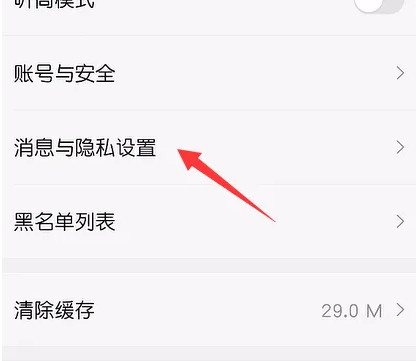 vv音乐怎么开启隐身访问 开启隐身访问操作方法