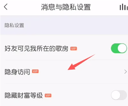 vv音乐怎么开启隐身访问 开启隐身访问操作方法