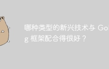 哪种类型的新兴技术与 Golang 框架配合得很好？