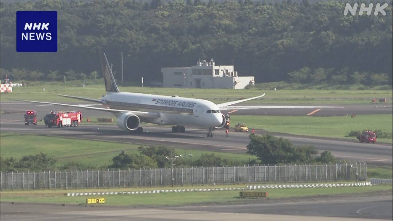 A Boeing 787 passenger plane emitted black smoke from its engine when landing at Narita Airport in Japan, causing the runway to be temporarily closed.