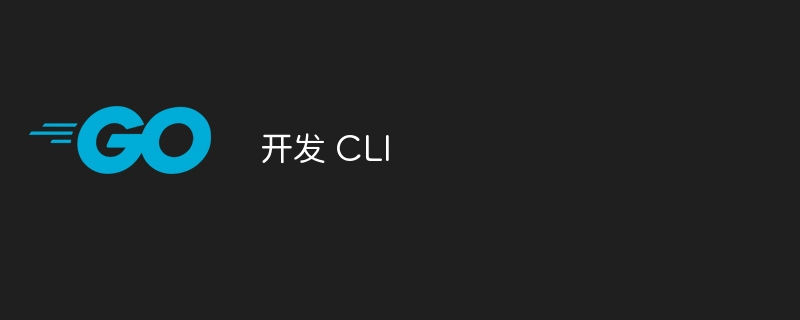 开发 cli