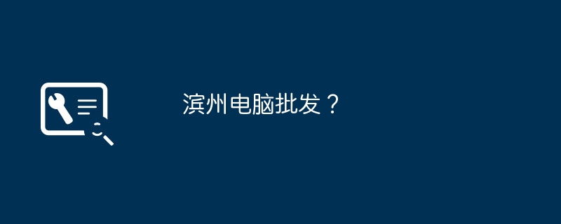 浜州コンピューター卸売?