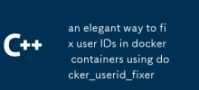 une manière élégante de corriger les ID utilisateur dans les conteneurs Docker à l'aide de docker_userid_fixer