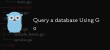 Go を使用してデータベースにクエリを実行する
