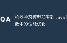 机器学习模型部署到 Java 函数中的性能优化