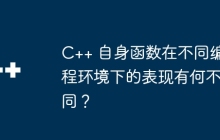 C++ 自身函数在不同编程环境下的表现有何不同？
