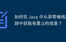 如何在 Java 中从异常堆栈跟踪中获取有意义的信息？