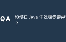 如何在 Java 中处理嵌套异常？