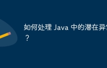 如何处理 Java 中的潜在异常？