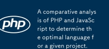 对 PHP 和 JavaScript 进行比较分析，以确定给定项目的最佳语言。