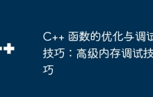 C++ 函数的优化与调试技巧：高级内存调试技巧
