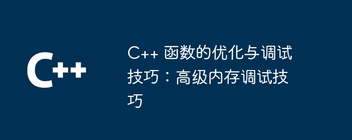 C++ 函数的优化与调试技巧：高级内存调试技巧