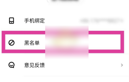 赫兹怎么查看黑名单 查看黑名单操作方法
