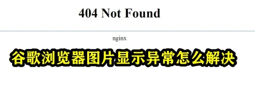 谷歌浏览器图片显示异常怎么办 谷歌浏览器显示不了图片解决方法