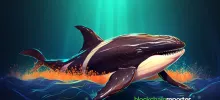 Les baleines de crypto-monnaie démontrent un fort intérêt pour AAVE et achètent des millions de jetons