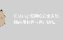 Golang 框架的安全实践:保障应用数据与用户隐私
