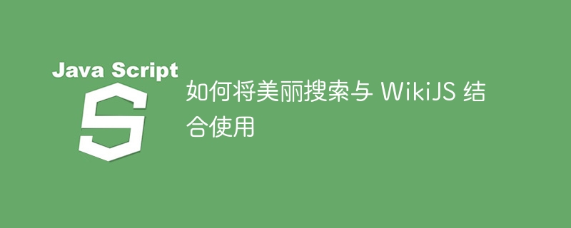 如何将美丽搜索与 wikijs 结合使用