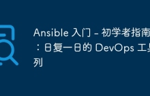 Ansible 入门 - 初学者指南：日复一日的 DevOps 工具系列