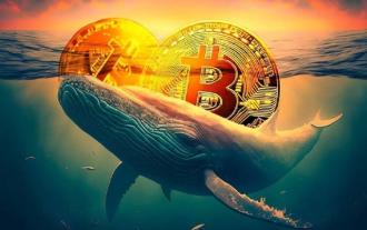 Kryptowährung Whale verliert 55,4 Millionen US-Dollar an Dai Stablecoin durch Phishing-Angriff