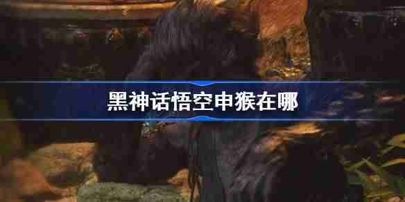 《黑神话悟空》申猴位置