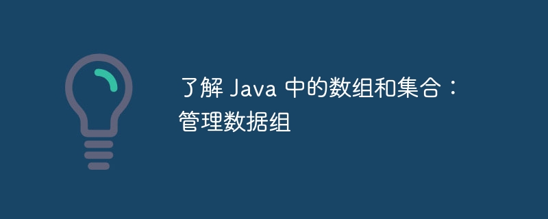 了解 java 中的数组和集合：管理数据组