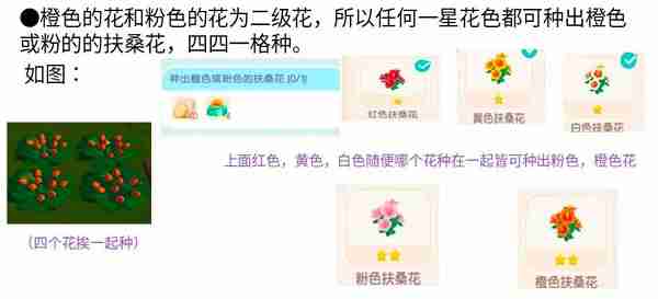 心动小镇扶桑花怎么杂交 心动小镇扶桑花杂交攻略