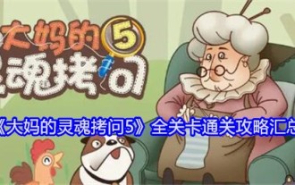 '아줌마의 영혼 고문 5'의 모든 레벨 요약