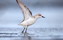 99公益节一起玩游戏做好事，各路豪杰集聚争夺月下第一人殊荣！