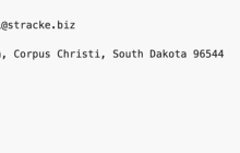 Golang - 使用 GoFakeIt 生成假数据