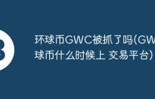 环球币GWC被抓了吗(GWC环球币什么时候上 交易平台)