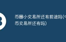 币圈小交易所还有前途吗(中币交易所还有吗)