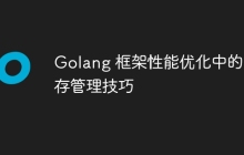 Golang 框架性能优化中的内存管理技巧