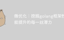 微优化:挖掘golang框架性能提升的每一丝潜力