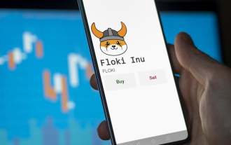 Floki (FLOKI) se rallie de 23 % avant le largage aérien de Simon's Cat (CAT), partenariat avec l'Université de Miami