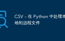 CSV - 在 Python 中处理本地和远程文件