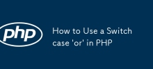 How to Use a Switch case \'or\' in PHP