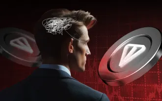 TON Blockchain Outage Caused by Meme Coin DOGS Transactions