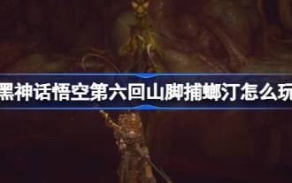 'Black Myth: Wukong ' Chapitre 6 Guide de la terrasse de capture des mantis au pied de la montagne