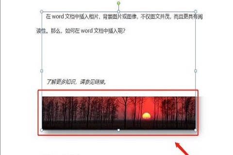 Word の埋め込み画像が不完全に表示されるのはなぜですか? Word 文書の埋め込み画像が不完全に表示されるのはなぜですか?