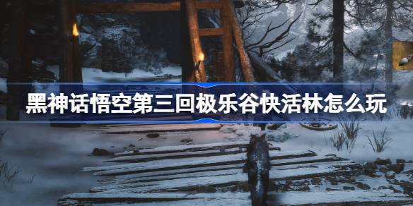 《黑神话悟空》第三回极乐谷快活林攻略