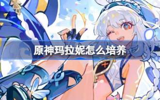 《原神》玛拉妮全方位培养攻略