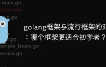 golang框架与流行框架的对比：哪个框架更适合初学者？