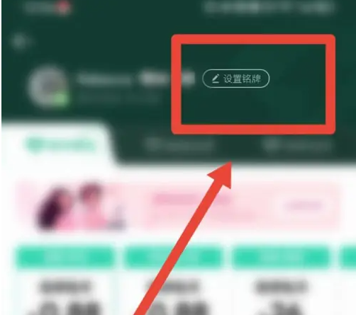 qq音乐播放器怎么更换专属铭牌 QQ音乐设置铭牌方法