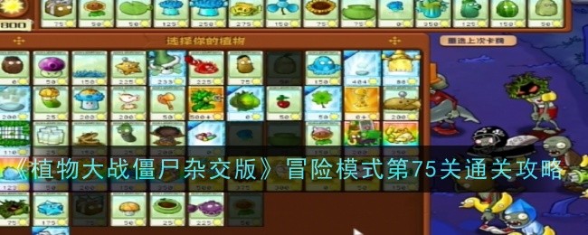 《植物大戰殭屍雜交版》冒險模式第75關通關攻略