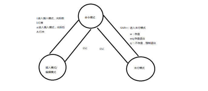 VIM 에디터 운영 가이드