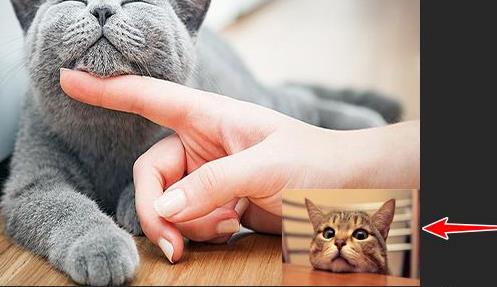 ps怎么复制图层到另一个图层上 