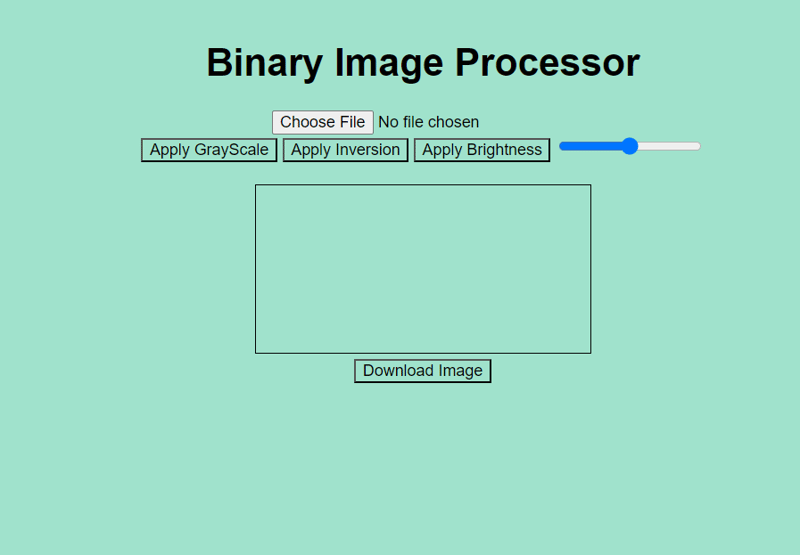 Binärer Bildprozessor