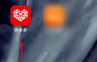 拼多多怎么买1元商品 拼多多买1元商品的步骤教程